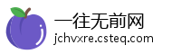 一往无前网